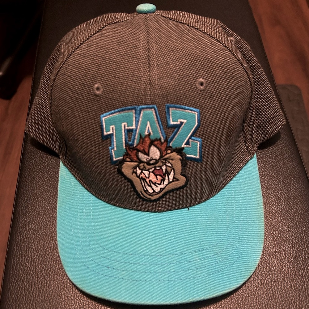 Y2K Six Flags Taz Snapback Grey and Light Blue Loony Tunes Tasmanian Devil